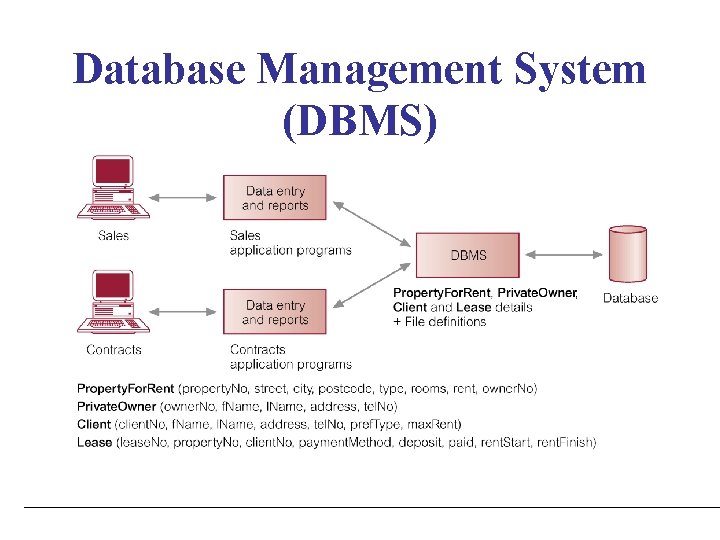 Database Management System (DBMS) 