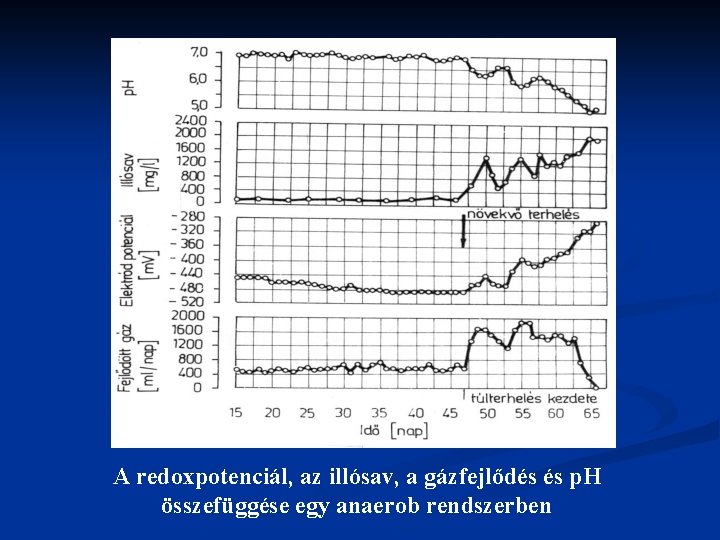 A redoxpotenciál, az illósav, a gázfejlődés és p. H összefüggése egy anaerob rendszerben 