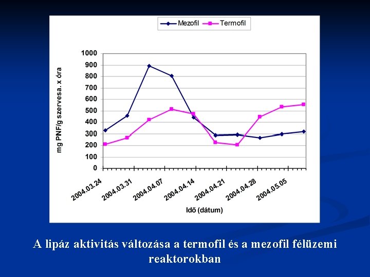 A lipáz aktivitás változása a termofil és a mezofil félüzemi reaktorokban 