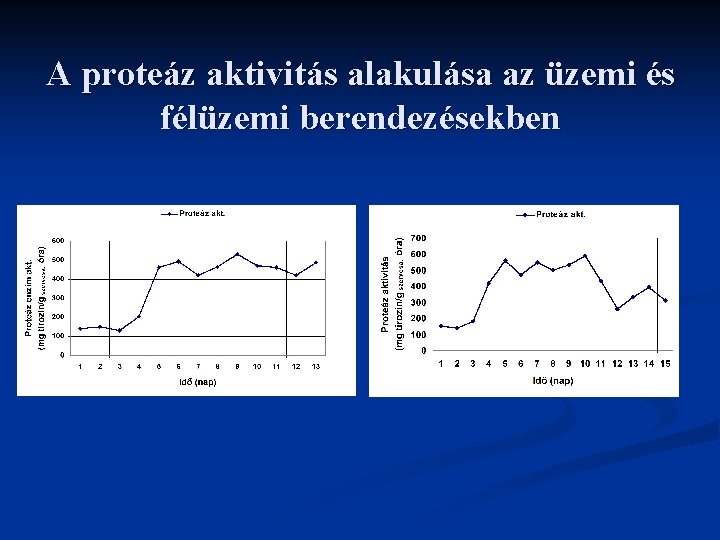 A proteáz aktivitás alakulása az üzemi és félüzemi berendezésekben 