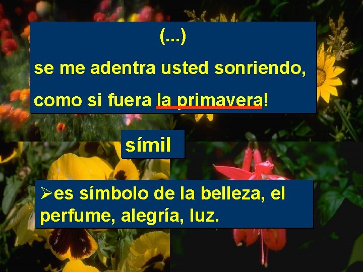 (. . . ) se me adentra usted sonriendo, como si fuera la primavera!