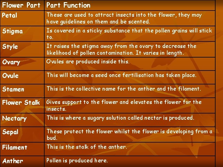 Flower Part Function Petal These are used to attract insects into the flower, they