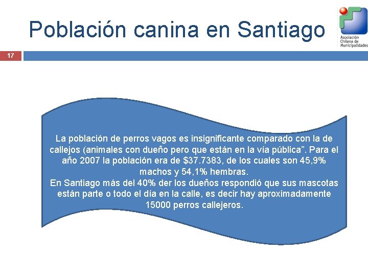 Población canina en Santiago 17 La población de perros vagos es insignificante comparado con