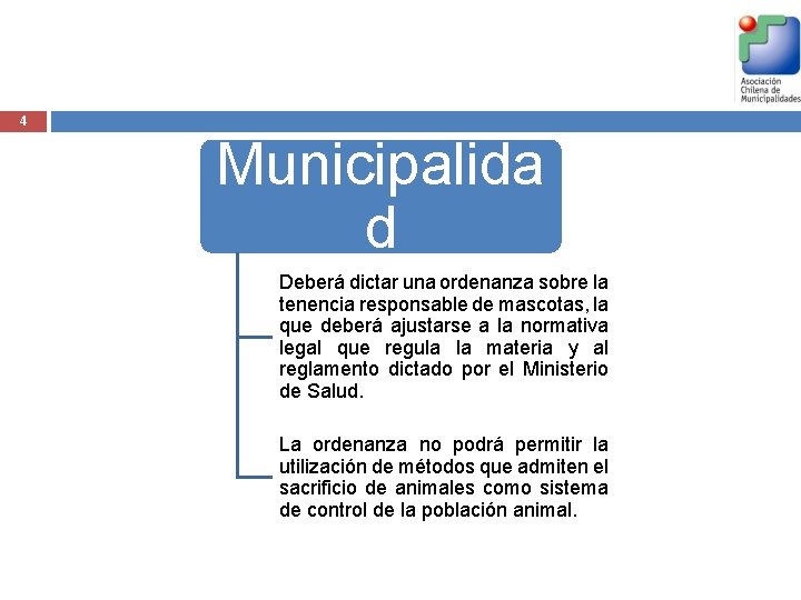 4 Municipalida d Deberá dictar una ordenanza sobre la tenencia responsable de mascotas, la