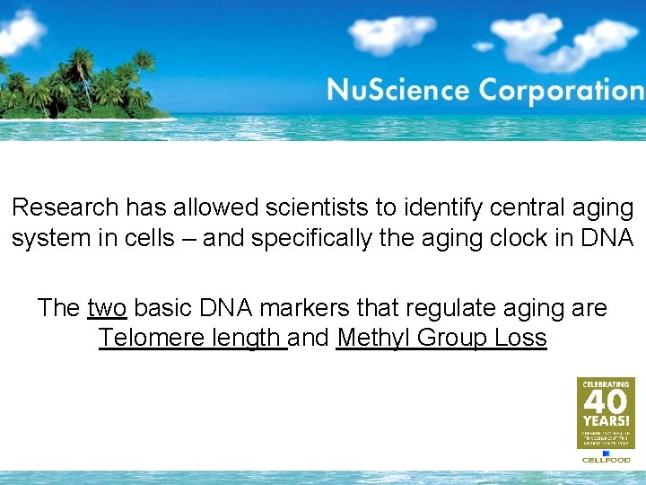 Research has allowed scientists to identify central aging system in cells – and specifically