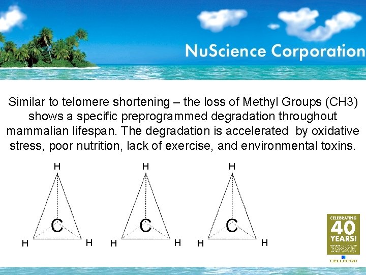 Similar to telomere shortening – the loss of Methyl Groups (CH 3) shows a