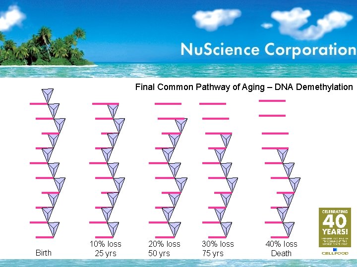 Final Common Pathway of Aging – DNA Demethylation Birth 10% loss 25 yrs 20%