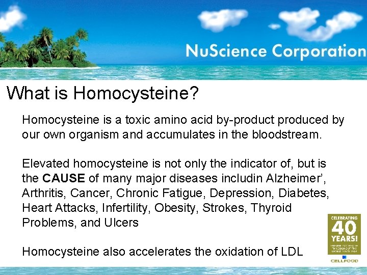 What is Homocysteine? Homocysteine is a toxic amino acid by-product produced by our own