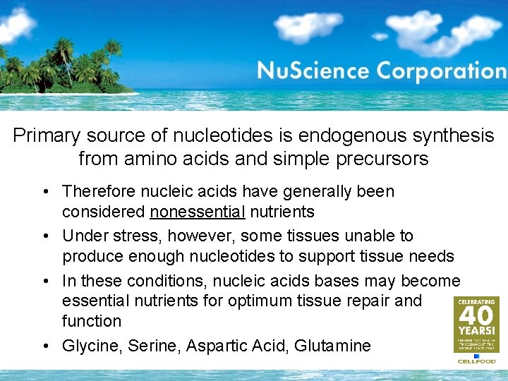 Primary source of nucleotides is endogenous synthesis from amino acids and simple precursors •
