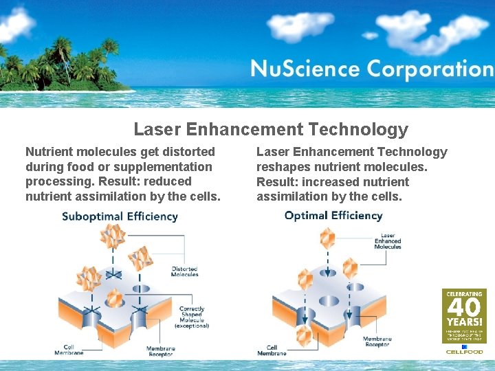 Laser Enhancement Technology Nutrient molecules get distorted during food or supplementation processing. Result: reduced