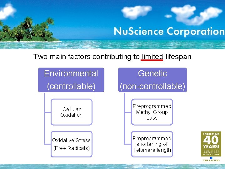 Two main factors contributing to limited lifespan Environmental (controllable) Genetic (non-controllable) Cellular Oxidation Preprogrammed