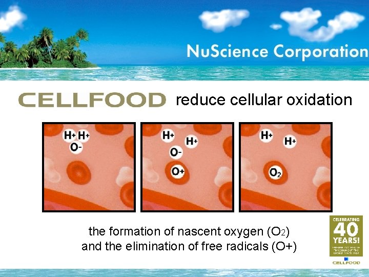 reduce cellular oxidation the formation of nascent oxygen (O 2) and the elimination of