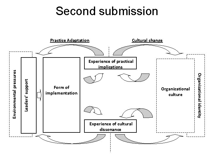 Second submission Practice Adaptation Cultural change Leaders’ support Form of implementation Organizational culture Experience