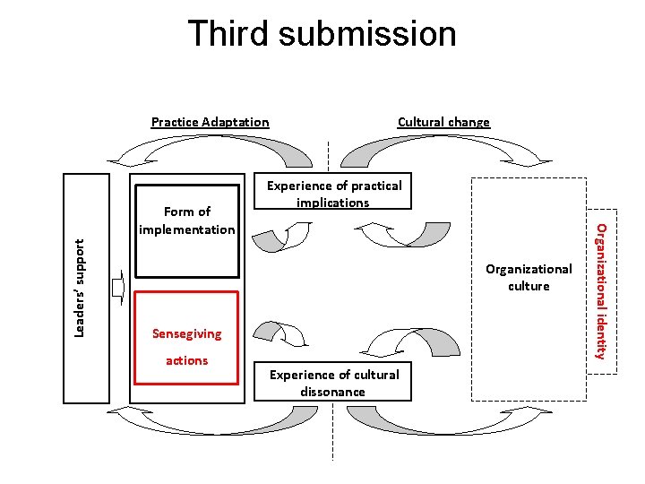 Third submission Practice Adaptation Leaders’ support Experience of practical implications Organizational culture Sensegiving actions