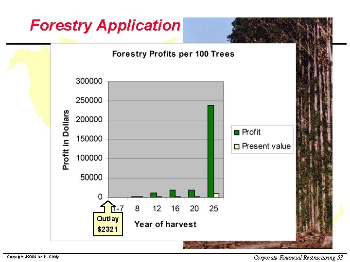 Forestry Application Outlay $2321 Copyright © 2004 Ian H. Giddy Corporate Financial Restructuring 53