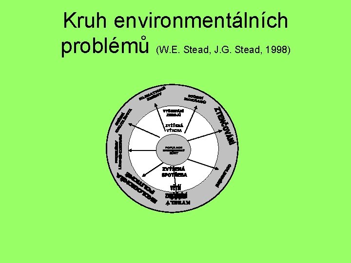 Kruh environmentálních problémů (W. E. Stead, J. G. Stead, 1998) 