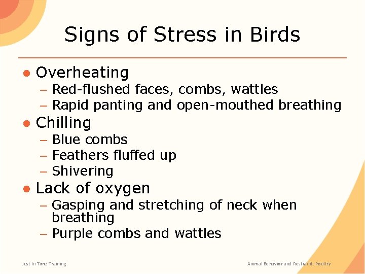 Signs of Stress in Birds ● Overheating – Red-flushed faces, combs, wattles – Rapid