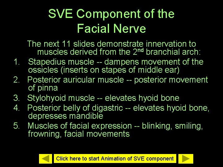 SVE Component of the Facial Nerve 1. 2. 3. 4. 5. The next 11