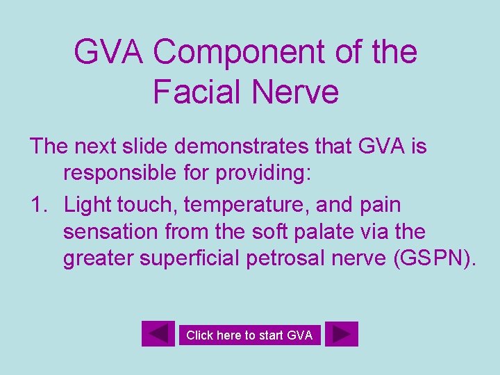 GVA Component of the Facial Nerve The next slide demonstrates that GVA is responsible