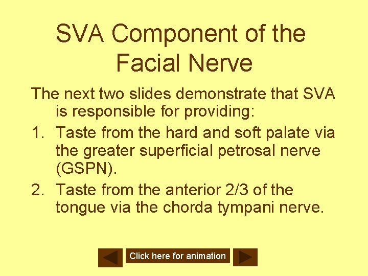 SVA Component of the Facial Nerve The next two slides demonstrate that SVA is