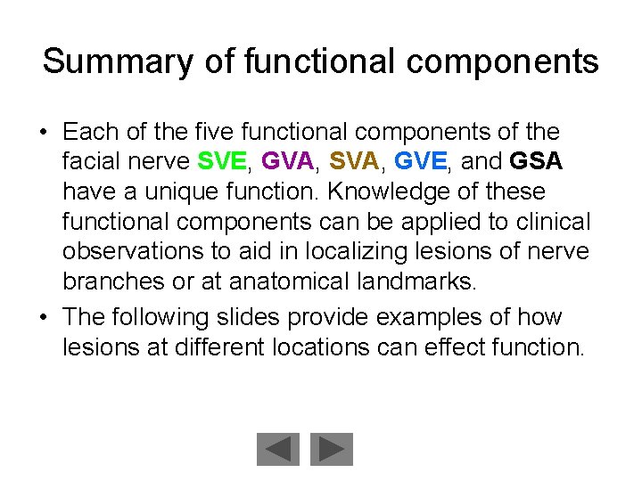 Summary of functional components • Each of the five functional components of the facial