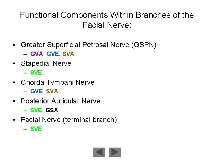 Functional Components Within Branches of the Facial Nerve: • Greater Superficial Petrosal Nerve (GSPN)