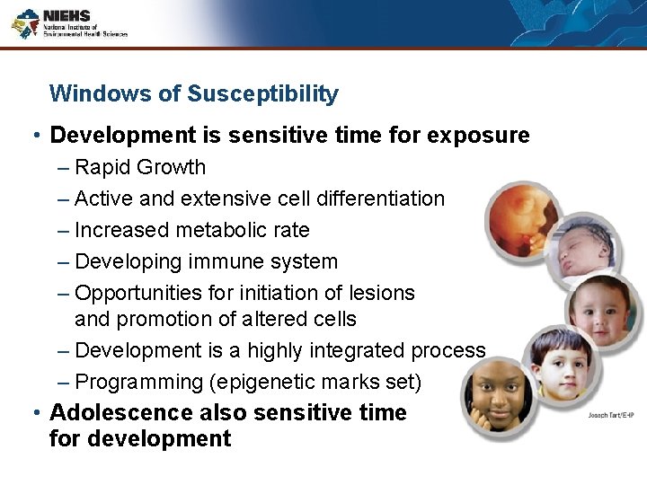 Windows of Susceptibility • Development is sensitive time for exposure – Rapid Growth –