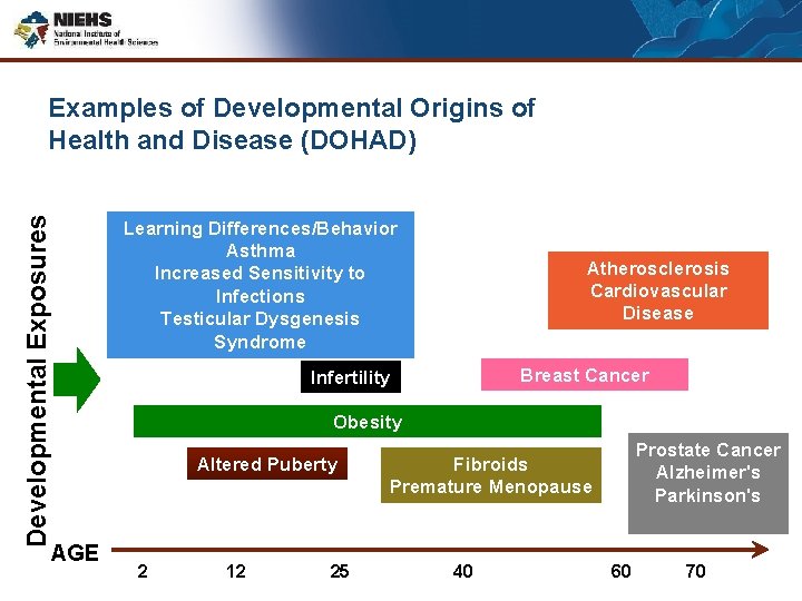 Developmental Exposures Examples of Developmental Origins of Health and Disease (DOHAD) AGE Learning Differences/Behavior