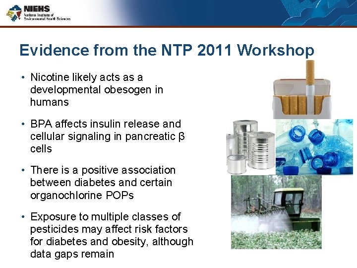 Evidence from the NTP 2011 Workshop • Nicotine likely acts as a developmental obesogen