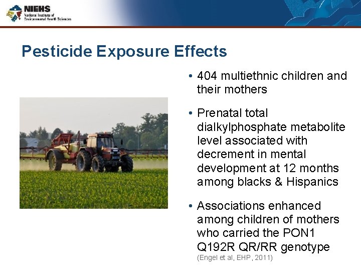 Pesticide Exposure Effects • 404 multiethnic children and their mothers • Prenatal total dialkylphosphate