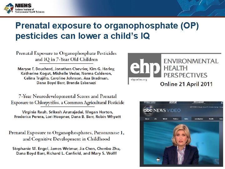 Prenatal exposure to organophosphate (OP) pesticides can lower a child’s IQ 36 