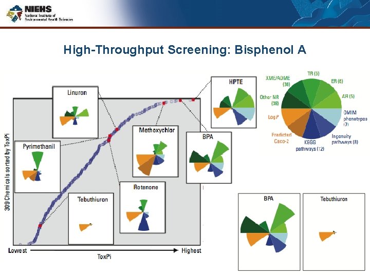 High-Throughput Screening: Bisphenol A 