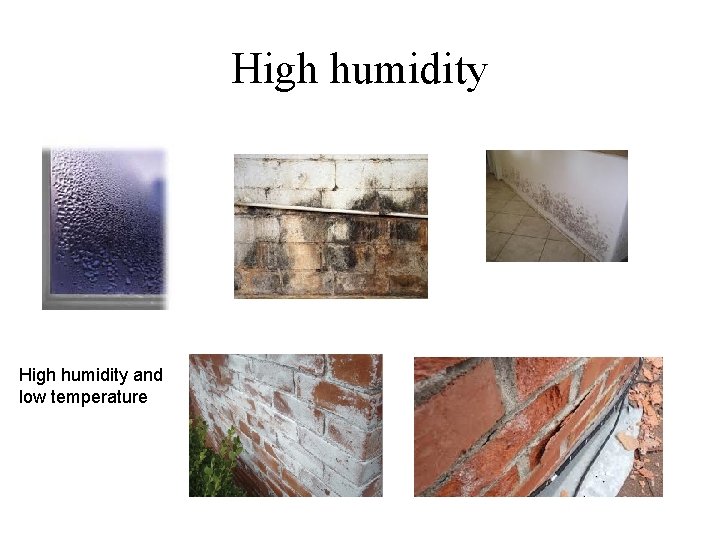 High humidity and low temperature 