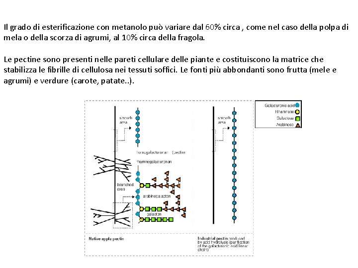 Il grado di esterificazione con metanolo può variare dal 60% circa , come nel Il grado di esterificazione con metanolo può variare dal 60% circa , come nel