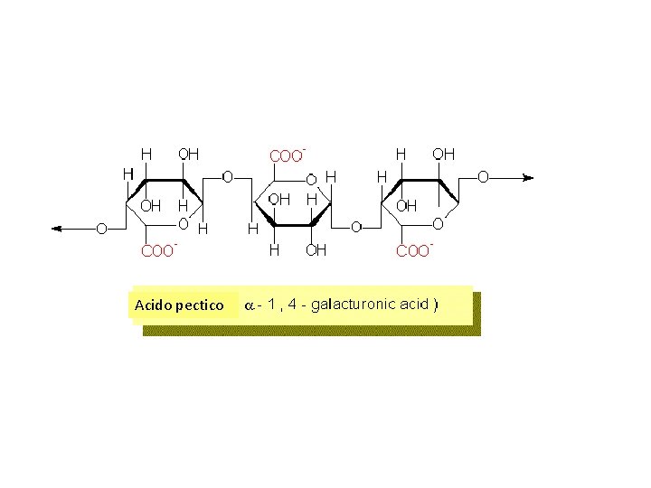 Acido pectico 