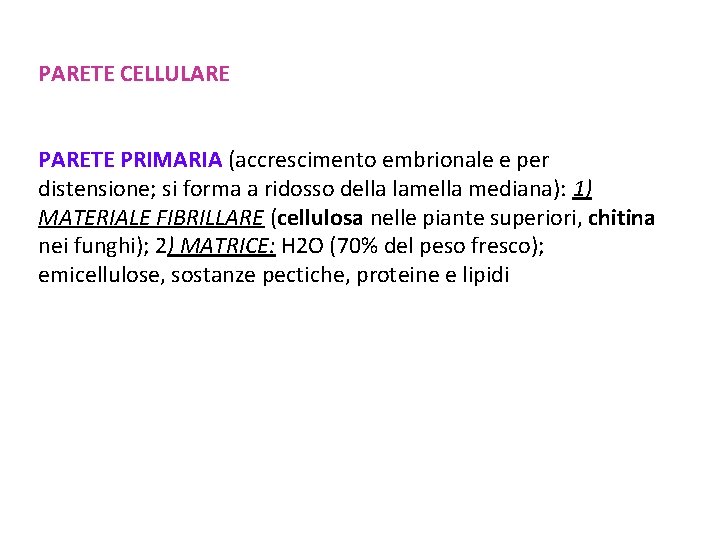 PARETE CELLULARE PARETE PRIMARIA (accrescimento embrionale e per distensione; si forma a ridosso della PARETE CELLULARE PARETE PRIMARIA (accrescimento embrionale e per distensione; si forma a ridosso della