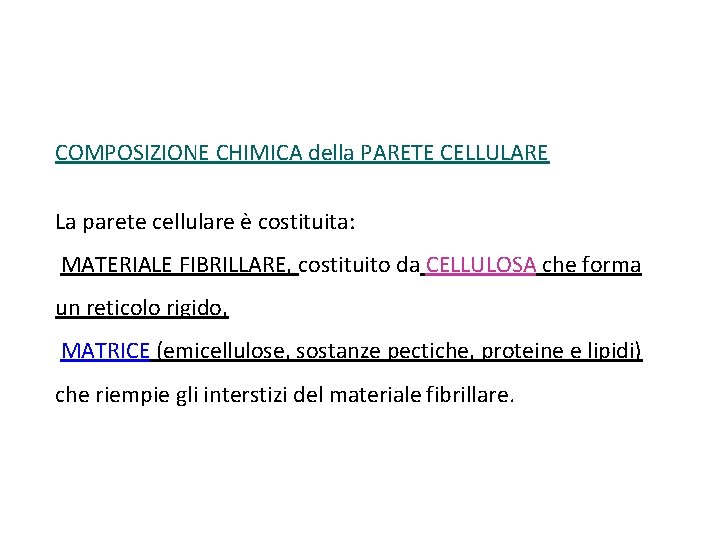 COMPOSIZIONE CHIMICA della PARETE CELLULARE La parete cellulare è costituita: MATERIALE FIBRILLARE, costituito da COMPOSIZIONE CHIMICA della PARETE CELLULARE La parete cellulare è costituita: MATERIALE FIBRILLARE, costituito da