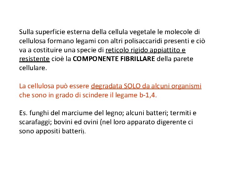 Sulla superficie esterna della cellula vegetale le molecole di cellulosa formano legami con altri Sulla superficie esterna della cellula vegetale le molecole di cellulosa formano legami con altri