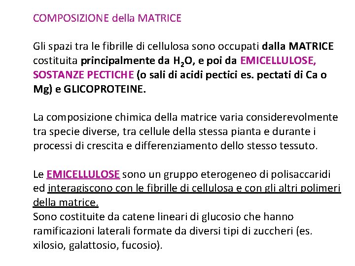 COMPOSIZIONE della MATRICE Gli spazi tra le fibrille di cellulosa sono occupati dalla MATRICE