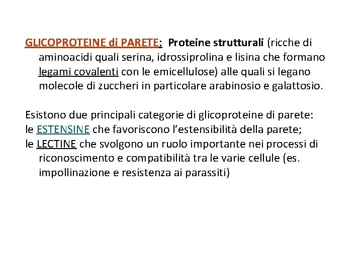 GLICOPROTEINE di PARETE: Proteine strutturali (ricche di aminoacidi quali serina, idrossiprolina e lisina che
