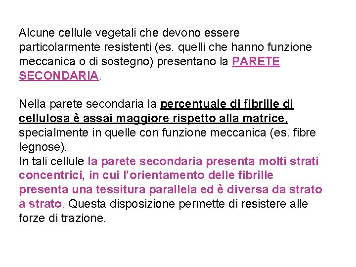 Alcune cellule vegetali che devono essere particolarmente resistenti (es. quelli che hanno funzione meccanica Alcune cellule vegetali che devono essere particolarmente resistenti (es. quelli che hanno funzione meccanica