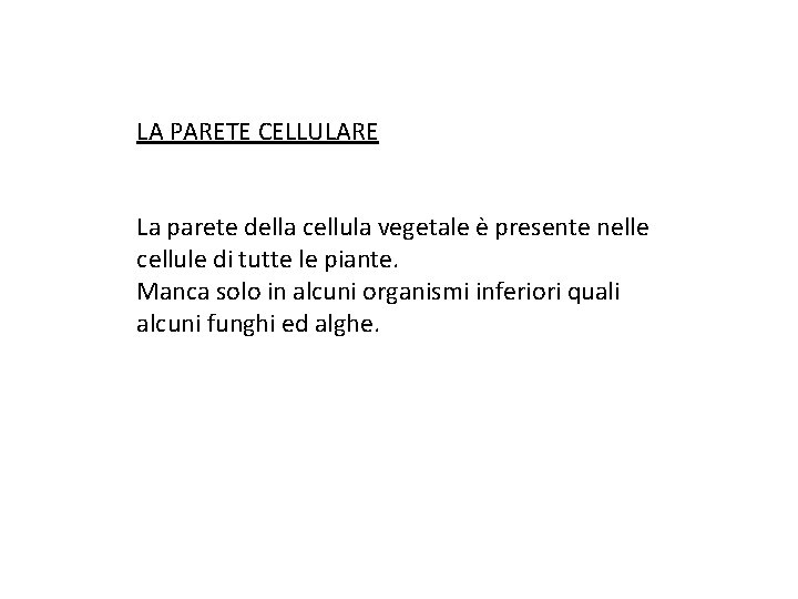 LA PARETE CELLULARE La parete della cellula vegetale è presente nelle cellule di tutte