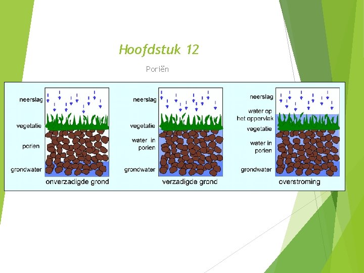 Hoofdstuk 12 Poriën 