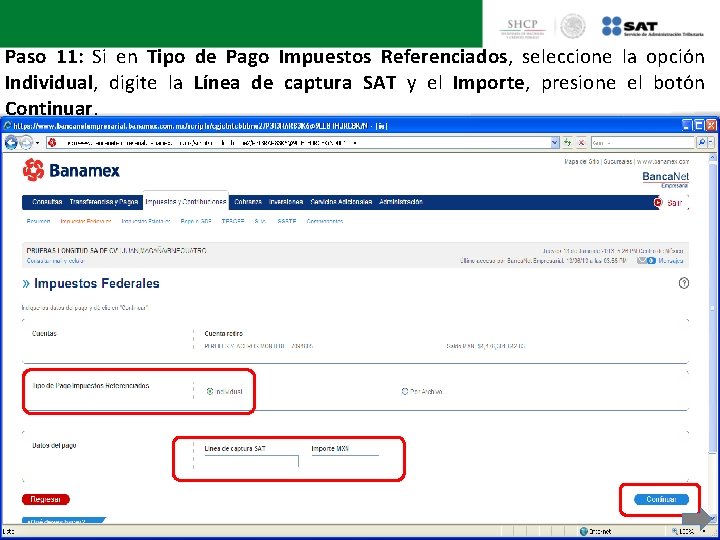 Paso 11: Si en Tipo de Pago Impuestos Referenciados, seleccione la opción Individual, digite