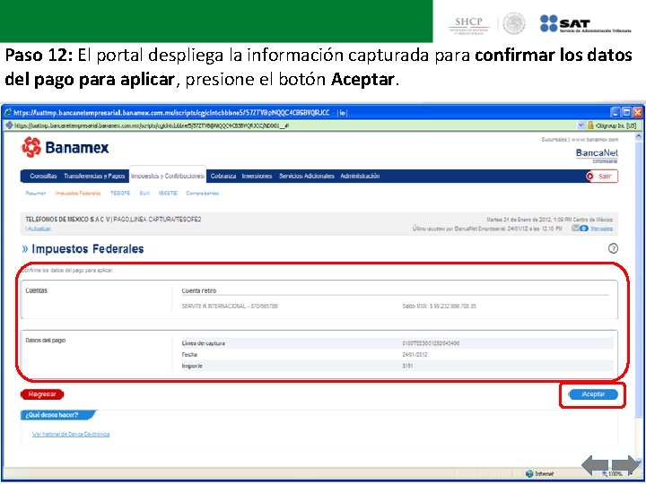 Paso 12: El portal despliega la información capturada para confirmar los datos del pago