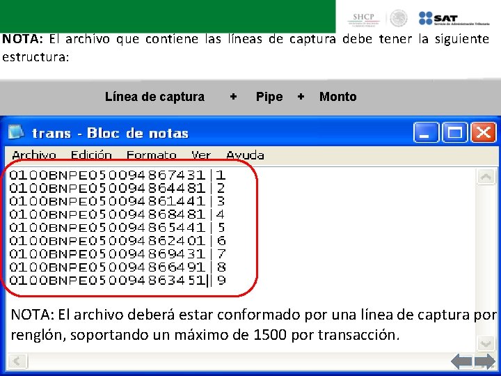 NOTA: El archivo que contiene las líneas de captura debe tener la siguiente estructura: