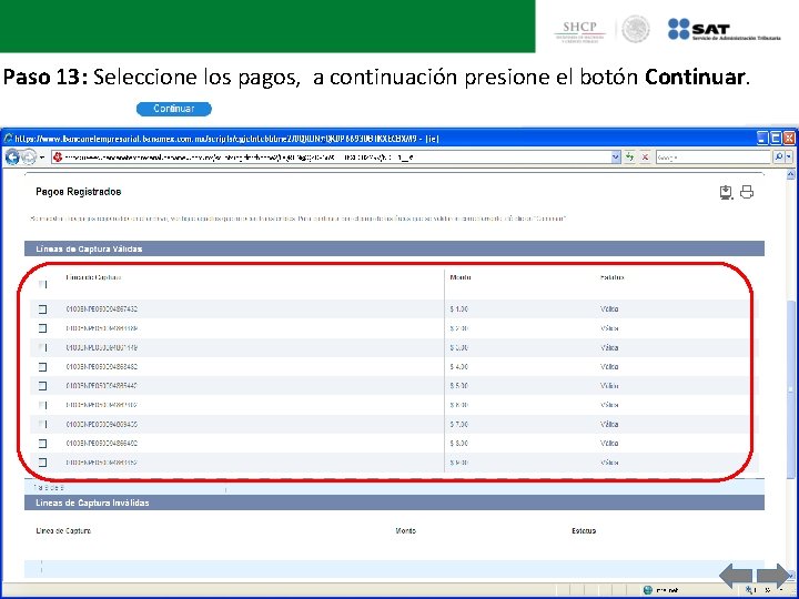 Paso 13: Seleccione los pagos, a continuación presione el botón Continuar. 