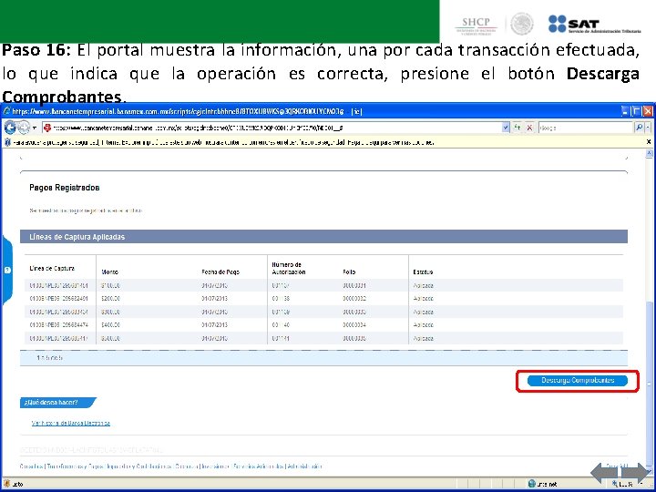 Paso 16: El portal muestra la información, una por cada transacción efectuada, lo que