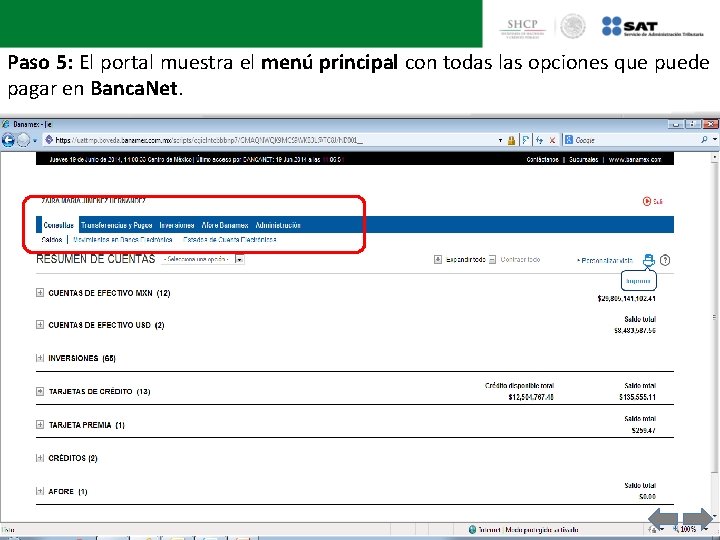 Paso 5: El portal muestra el menú principal con todas las opciones que puede