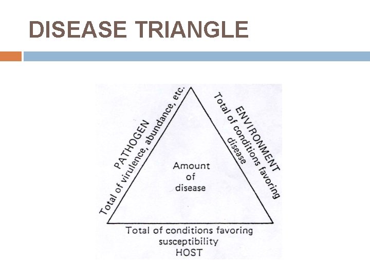 DISEASE TRIANGLE 
